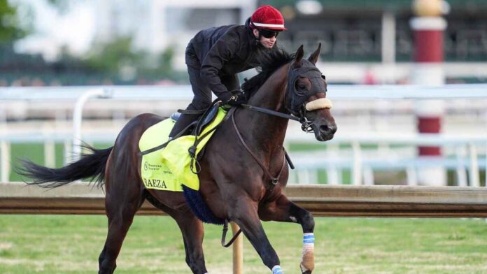 Kentucky Derby 2025 Kentucky Derby 2025 Horses When Is The Kentucky Derby 2025 Kentucky Derby 2025 Start Time Run For The Roses